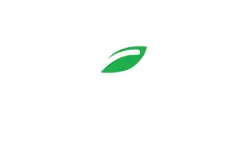 beanstalkedu logo